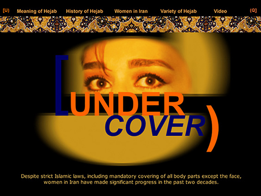 Under Cover Multimedia Project